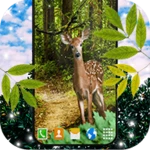 Logo of Forest Live Wallpaper android Application 